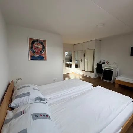 Hotel Landgasthof Zum Zimmermann Rapperswil (St. Gallen)
