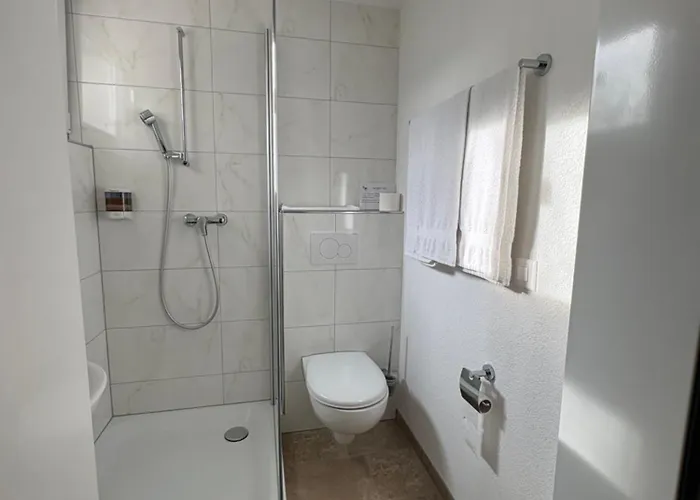 Landgasthof Zum Zimmermann 호텔 Rapperswil-Jona